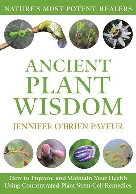 bokomslag Ancient Plant Wisdom: How to Improve and Maintain Your Health Using Concentrated Plant Stem Cell Remedies