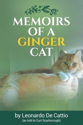 bokomslag Memoirs of a Ginger Cat