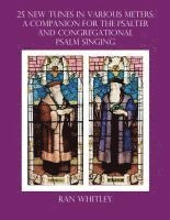 bokomslag 25 New Tunes in Various Meters: A Companion for the Psalter And Congregational Psalm Singing