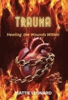 bokomslag Trauma