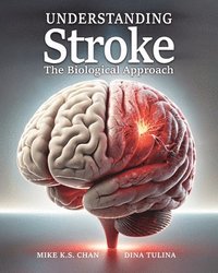 bokomslag Understanding Stroke - The Biological Approach