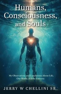 bokomslag Humans, Consciousness, and Souls