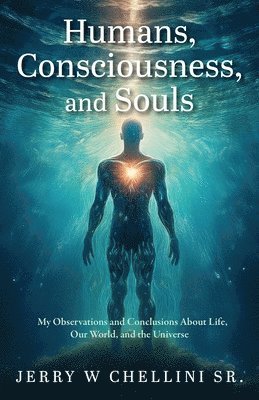 bokomslag Humans, Consciousness, and Souls