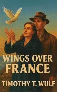 bokomslag Wings over France