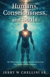 bokomslag Humans, Consciousness, and Souls
