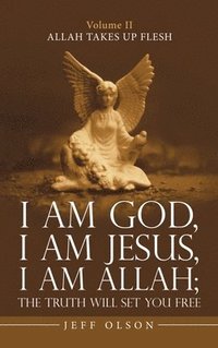 bokomslag I Am God, I Am Jesus, I Am Allah; the Truth Will Set You Free