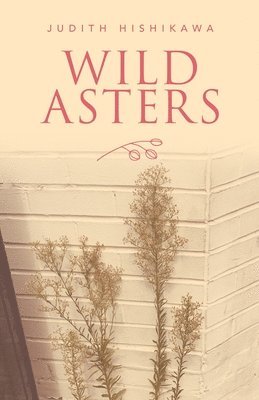 Wild Asters 1