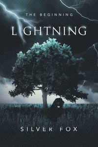 bokomslag Lightning