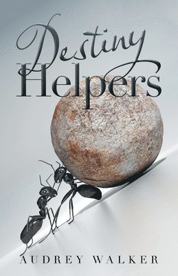 bokomslag Destiny Helpers