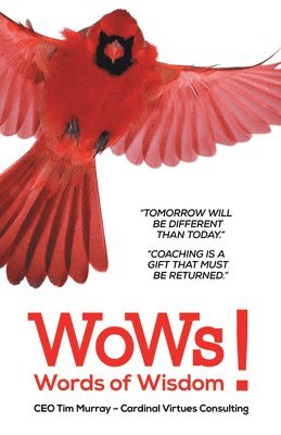 Tim Murray - CEO Words of Wisdom, Häftad