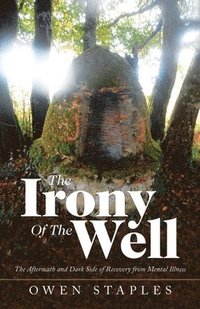bokomslag Irony of the Well