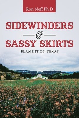 bokomslag Sidewinders & Sassy Skirts