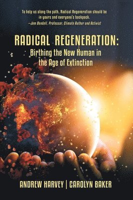bokomslag Radical Regeneration