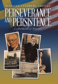 bokomslag Perseverance and Persistence