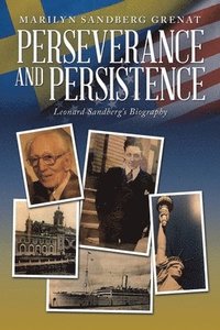 bokomslag Perseverance and Persistence