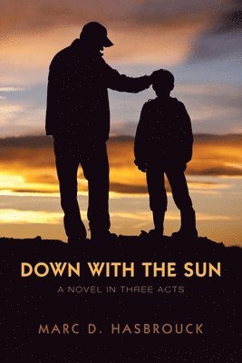 bokomslag Down with the Sun