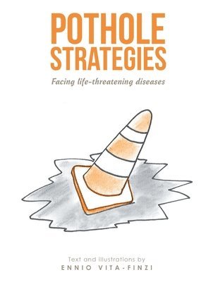 bokomslag Pothole Strategies