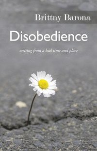 bokomslag Disobedience