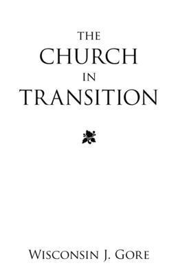 bokomslag Church in Transition