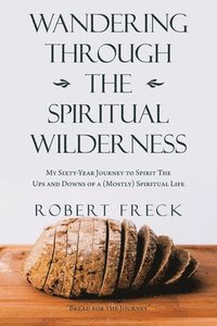bokomslag Wandering Through the Spiritual Wilderness