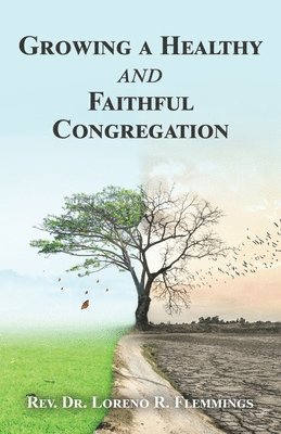 Growing a Healthy and Faithful Congregation