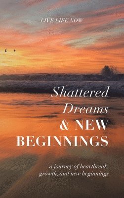 Shattered Dreams, New Beginnings 1