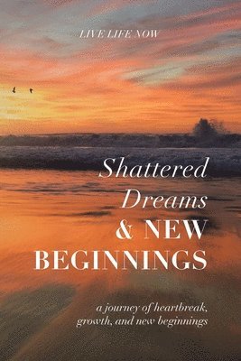 Shattered Dreams, New Beginnings 1