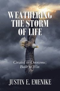 bokomslag Weathering the Storm of Life