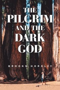 bokomslag The Pilgrim and the Dark God
