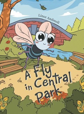 bokomslag Fly in Central Park