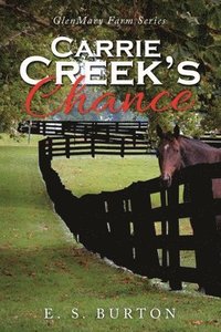 bokomslag Carrie Creek's Chance