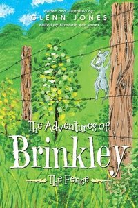 bokomslag The Adventures of Brinkley