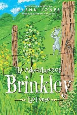 Glenn Jones, Elizabeth Ann Jones - Adventures of Brinkley, Häftad