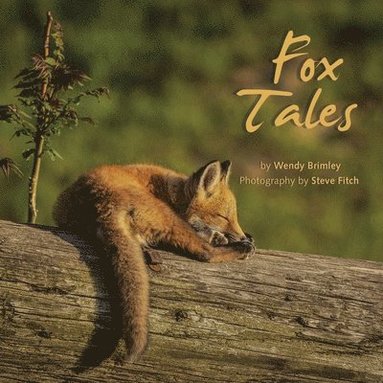 bokomslag Fox Tales