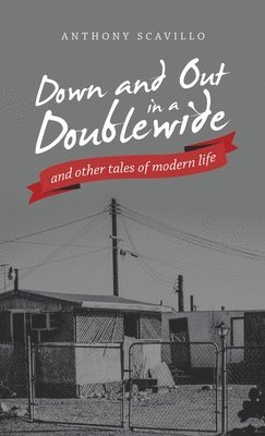 Down and out in a Doublewide and Other Tales of Modern Life 1