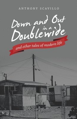 Anthony Scavillo - Down and out in a Doublewide and Other Tales of Modern Life, Häftad