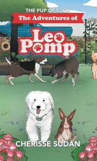 bokomslag The Adventures of Leo Pomp