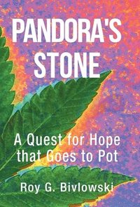 bokomslag Pandora's Stone