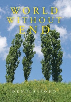 bokomslag World Without End