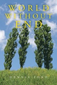 bokomslag World Without End