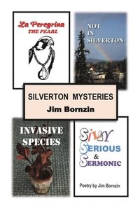 bokomslag Silverton Mysteries