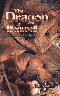 bokomslag The Dragon of Illenwell