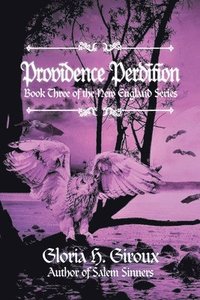 bokomslag Providence Perdition