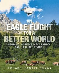 bokomslag An Eagle Flight for a Better World