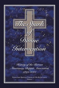 bokomslag The Spark of Divine Intervention