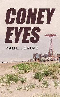 Paul Levine - Coney Eyes, Häftad