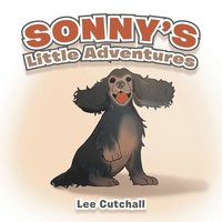 bokomslag Sonny's Little Adventures