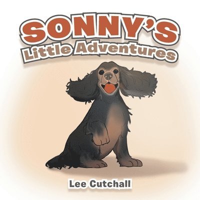 Sonny's Little Adventures 1