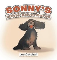 bokomslag Sonny's Little Adventures