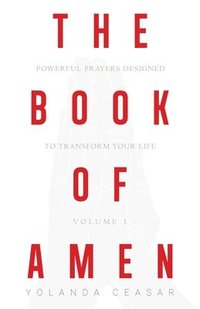 bokomslag Book of AMEN